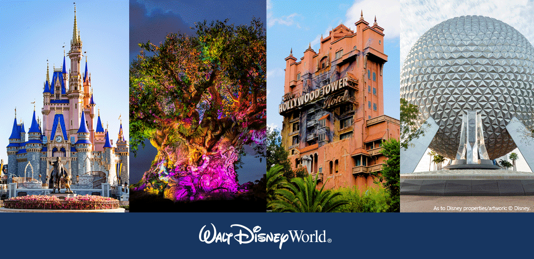 WDW Banner